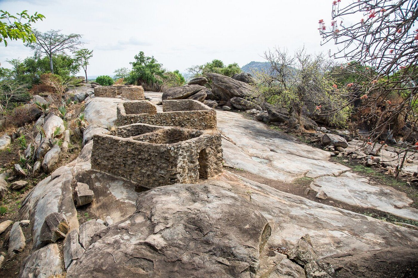 Fort Patiko (Baker’s Fort), Gulu — a protected fort under SI No. 69 of 2024 · Photo: Daily Monitor